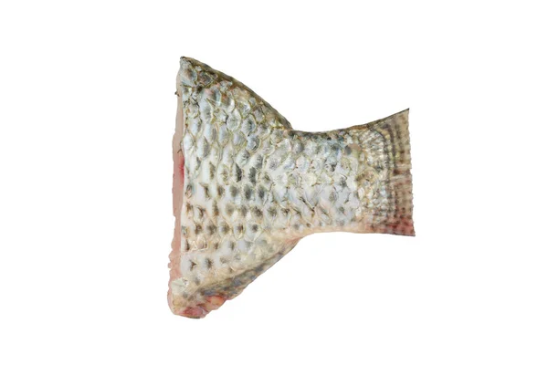 Pezzo Pesce Affettato Tilapia Sfondo Bianco — Foto Stock