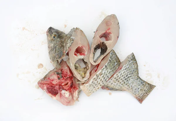 Plátky Ryby Tilapie Nilské Bílém Pozadí — Stock fotografie