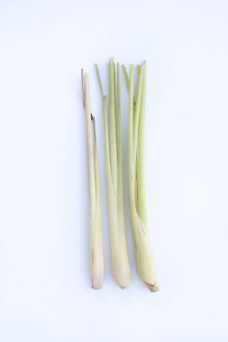 beyaz zemin üzerine taze limon otu