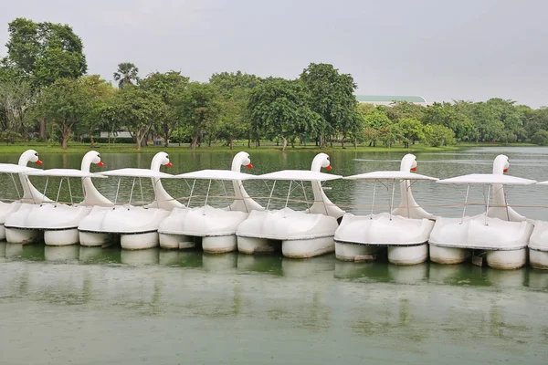 Fila Barcos Ciclo Água Cisne Parque Público — Fotografia de Stock