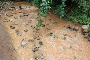 Felaket su ormandaki.