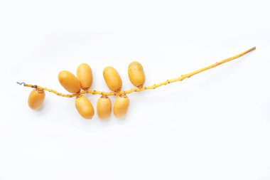 Bir demet taze hurma (Phoenix dactylifera) beyaz arka plan üzerinde.