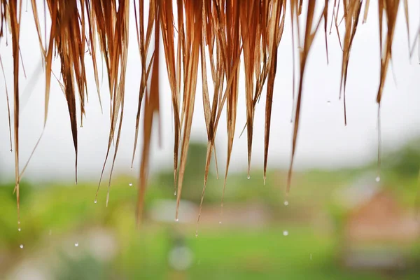 Rains Drops Thatched Roof Countryside — Stock Photo, Image