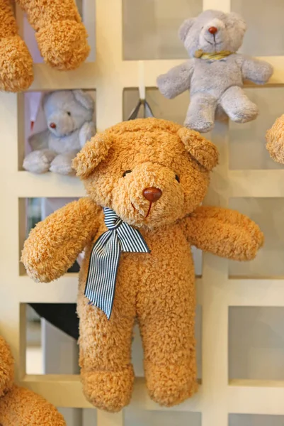 Teddy Bear Lóg Egy Partíciót — Stock Fotó