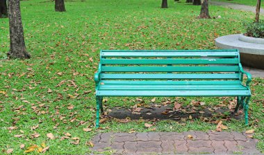 Yeşil sandalye fall ile genel parkta yaprakları etrafında kurumuş. Yalnız ve huzurlu hissediyorum.