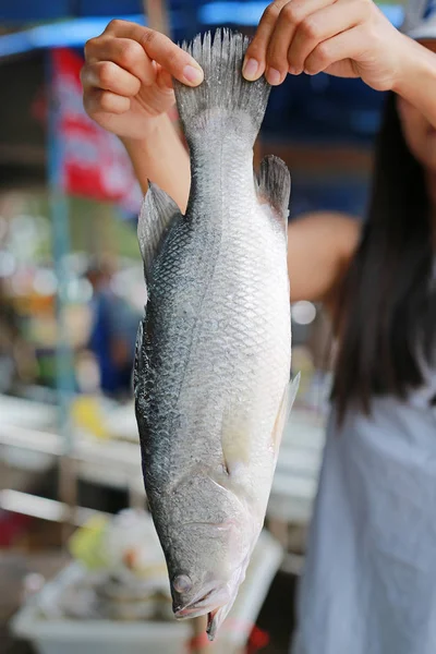 Mujer Sosteniendo Pescado Blanco Snapper Mercado Tailandia — Foto de Stock
