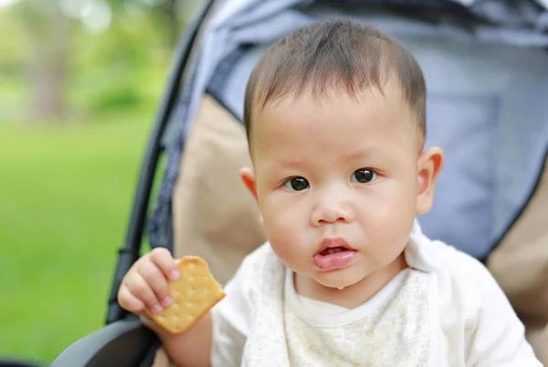 在自然公园的婴儿车上吃饼干的婴儿男婴 — 图库照片