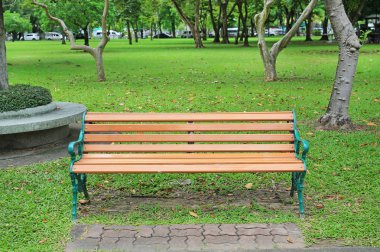 sandalye genel parkta sonbahar yaprakları etrafında kurumuş. Yalnız ve huzurlu hissediyorum.