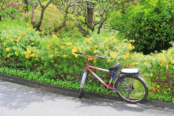 古いバイク通り側の公園の庭 — ストック写真