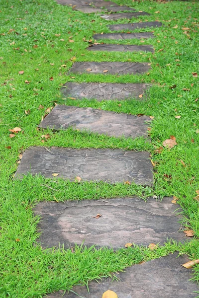 Camino Piedra Parque Con Fondo Hierba Verde — Foto de Stock