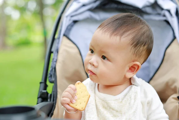 Dla Niemowląt Baby Boy Jedzenie Krakingu Herbatniki Siedzi Wózek Parku — Zdjęcie stockowe