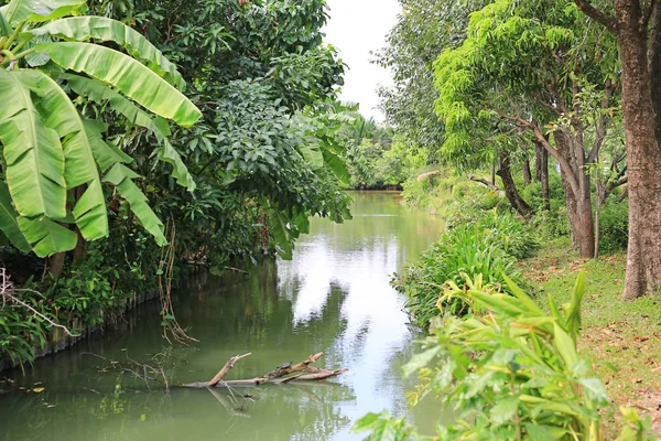 Güzel kanal doğada. Temiz ve iyi bir ortam.