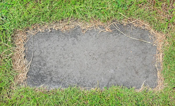 Stone Texture Background Covered Green Grass Concrete Pattern Copy Space — Stock Photo, Image