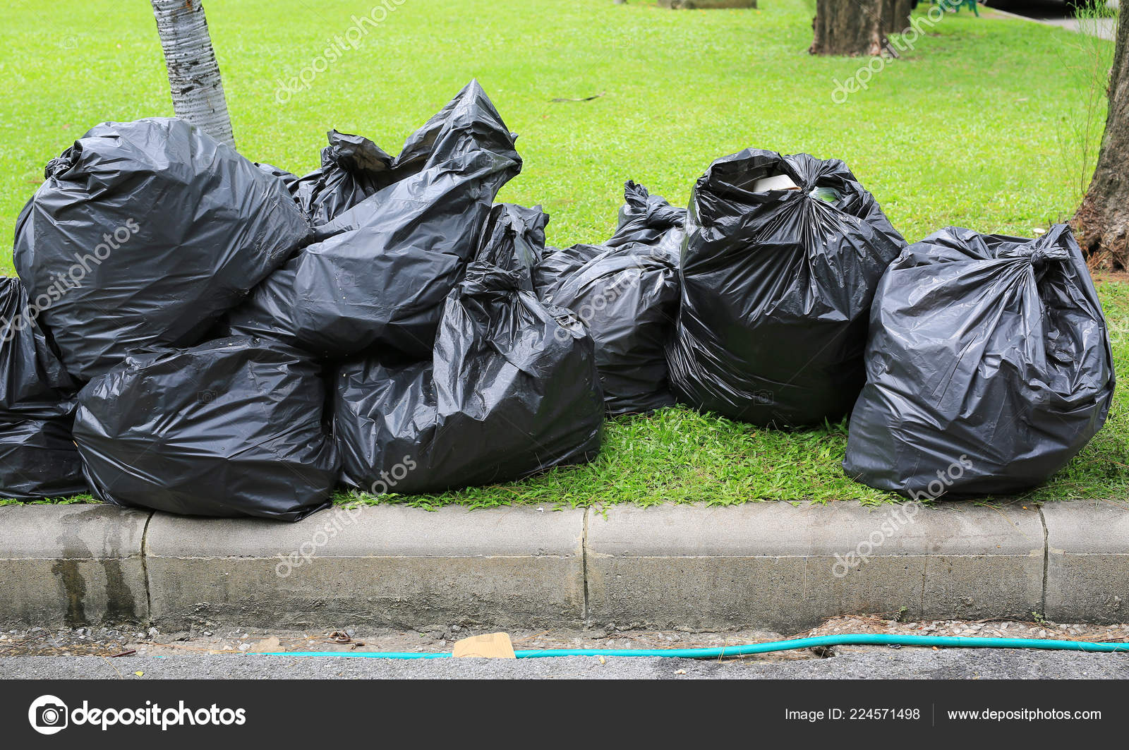 Black Plastic Trash Bags Green Grass Garden Street Stock Photo