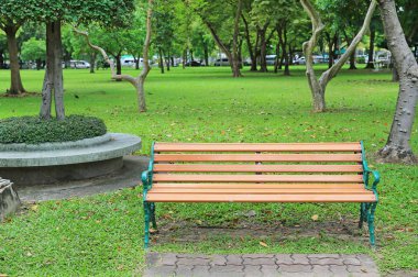 sandalye genel parkta sonbahar yaprakları etrafında kurumuş. Yalnız ve huzurlu hissediyorum.