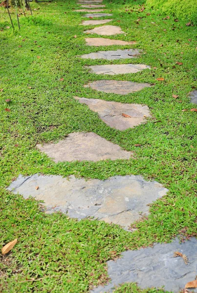 Camino Piedra Parque Con Fondo Hierba Verde — Foto de Stock