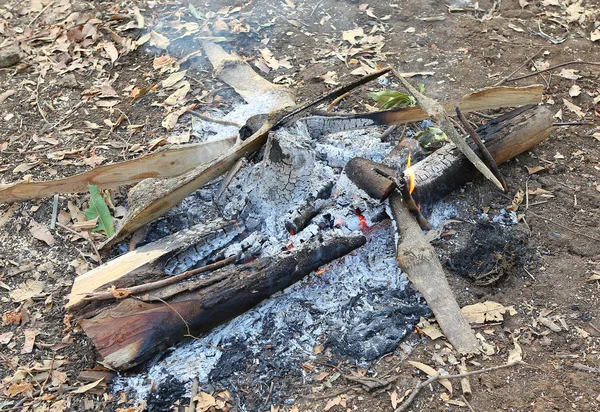 Feu Fumée Brûlant Sur Tronc Bois Feu Camp — Photo