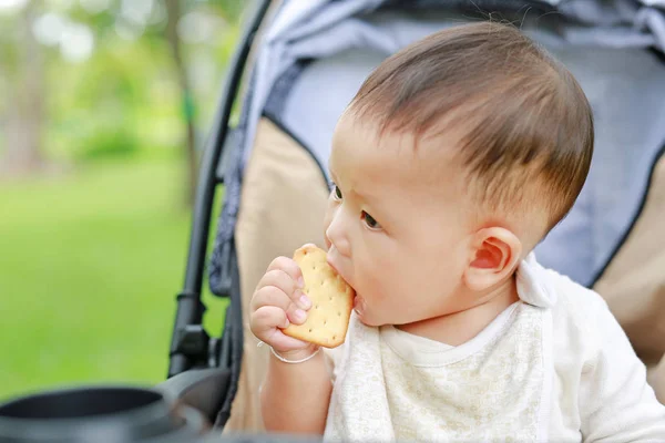 Primer Plano Bebé Niño Comiendo Galleta Galleta Sentado Cochecito Parque — Foto de Stock