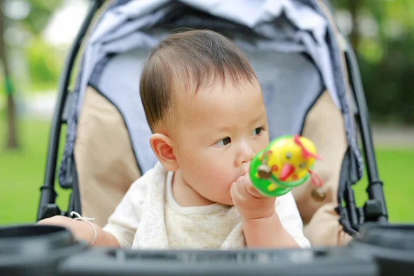 关闭婴儿男婴玩玩具手拉手坐在婴儿车在自然公园 — 图库照片