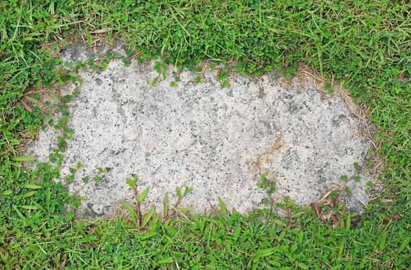 Stone Texture Background Covered Green Grass Concrete Pattern Copy Space — Stock Photo, Image