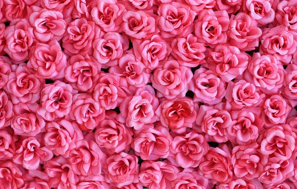 Artificial Pink Roses Flowers Background — Stock Photo, Image