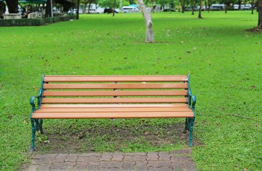 sandalye genel parkta sonbahar yaprakları etrafında kurumuş. Yalnız ve huzurlu hissediyorum.