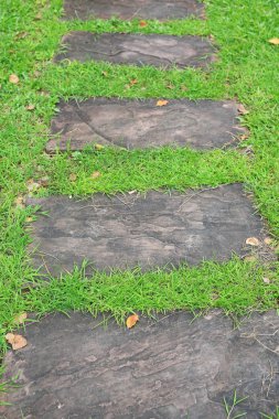 Parkta yeşil çimenli bir yol var.