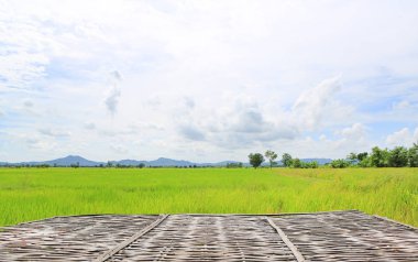 Bambu çöp ve manzara arka planda gökyüzü ve dağ genç yeşil çeltik alanlarını görüntülemek.