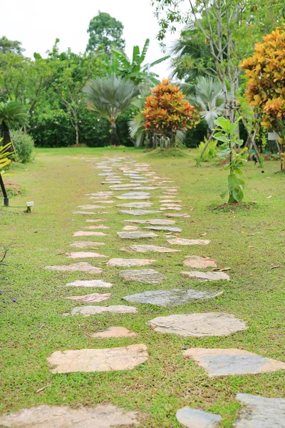 Pasarela Piedra Parque Con Fondo Hierba Verde — Foto de Stock