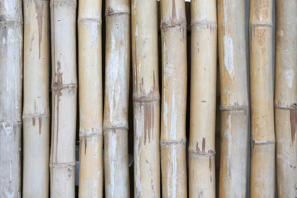Fondo Valla Bambú Vertical —  Fotos de Stock