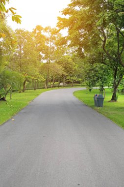 Park ve ağacın etrafında sabah güneş ışığı ile yolda.