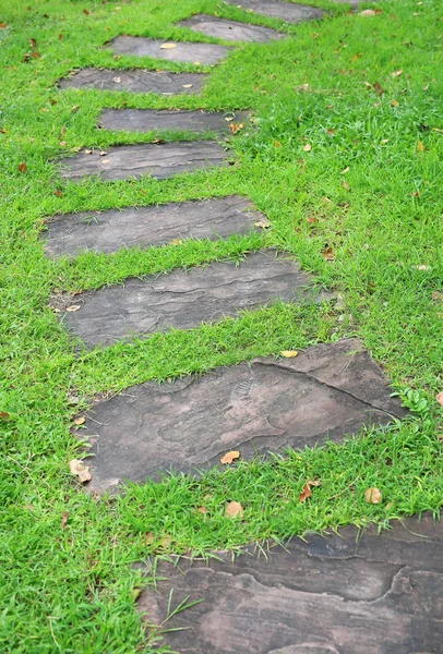 Camino Piedra Parque Con Césped Verde Alrededor — Foto de Stock