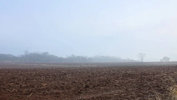 Campo Agrícola Cubierto Niebla Por Mañana Tailandia —  Fotos de Stock