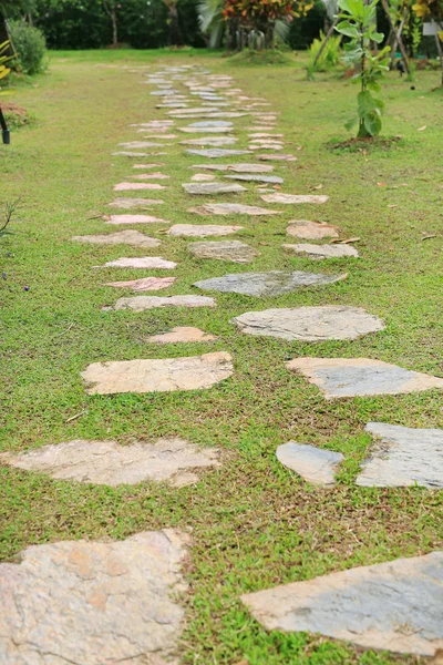 Camino Piedra Parque Con Fondo Hierba Verde — Foto de Stock