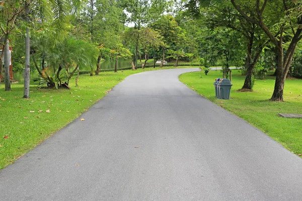 Vägen Parken Med Träd Runt Fridfulla Gröna Park Och Sätt — Stockfoto