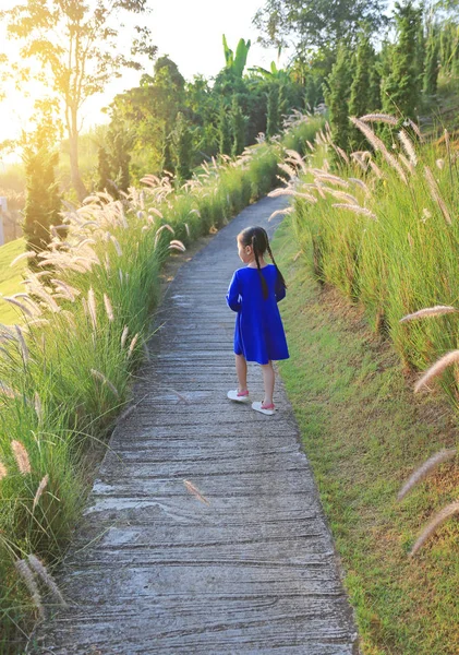 Visão Traseira Menina Criança Asiática Andando Passarela Campo Grama Selvagem — Fotografia de Stock