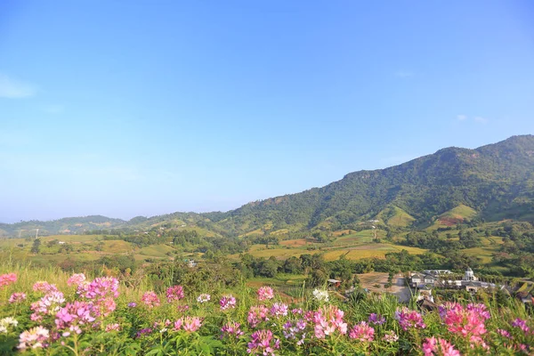 Güzel manzaralı çiçek mavi gökyüzü dağ ve Tayland köyü.