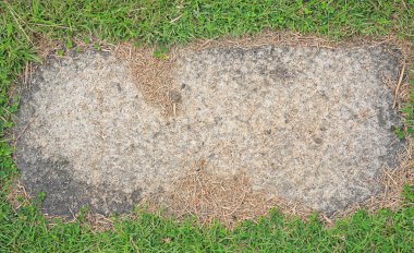 Taş yeşil çim kaplı arka plan doku.