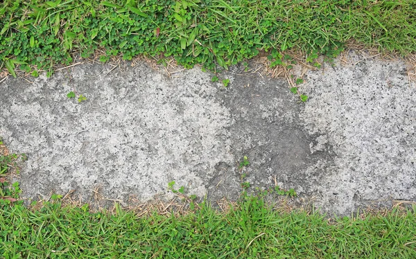 Stone Texture Background Covered Green Grass Concrete Pattern Copy Space — Stock Photo, Image