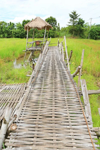 Kulübe için ahşap bambu geçit köprüsü geçişi paddy alanı