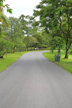 Huzurlu yeşil park ve yol için egzersiz ve rahatla.