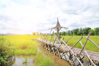Ahşap bambu geçit taze yeşil paddy alan ve sabah güneş ışığı ile dağ arka plan ile.