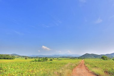 Güzel mavi gökyüzü ve ülke road dağ. Kırsal yeşil alan ve ağaçlar.
