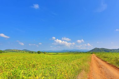 Güzel mavi gökyüzü ve ülke road dağ. Kırsal yeşil alan ve ağaçlar.