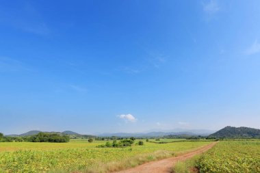 Güzel mavi gökyüzü ve ülke road dağ. Kırsal yeşil alan ve ağaçlar.