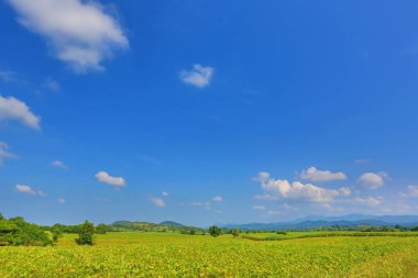 Yeşil alan ve dağlar mavi gökyüzünde güzel bulut. Manzara manzara arka plan.