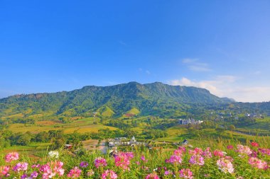 Güzel dağ manzarası ile dağ orman ve mavi gökyüzü Tayland.