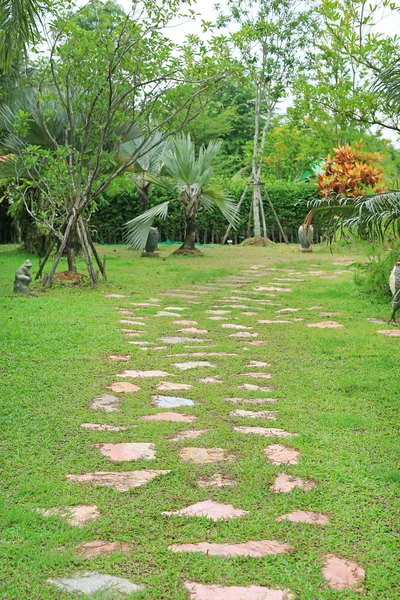 Camino Piedra Verde Verano Con Hierba Alrededor — Foto de Stock