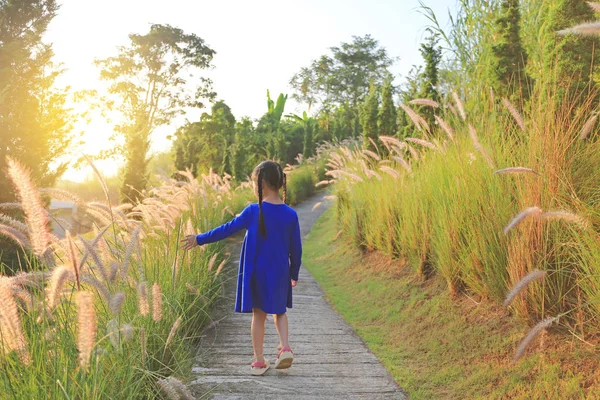 夕暮れ野生草に触れるために手を使用してビュー アジア子供女の子をバックアップします — ストック写真