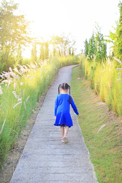 Visão Traseira Menina Asiática Criança Andando Passarela Entre Grama Selvagem — Fotografia de Stock
